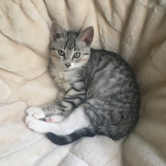 Meet your Posher, Riana - Picture 1 of 1